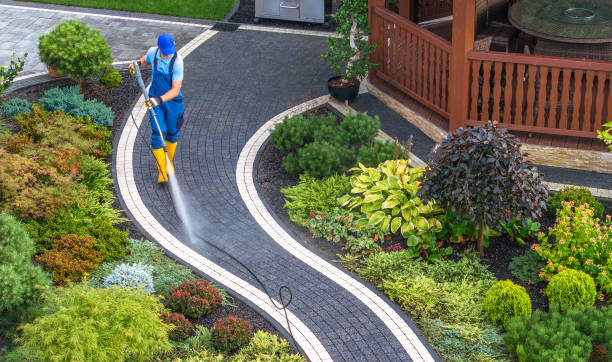 Best Pressure Washing Services Near Me  in USA